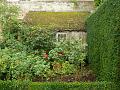 Sissinghurst Castle gardens P1120811